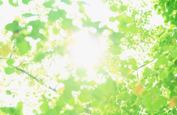 豊田市でアイフォンの画面割れでお困りでしたらお越しください。
